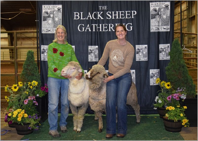 Top scorers Daphne Stone, left, models her �poppy� sweater; Laurel Stone, right, designed her sweater to reflect Banana, now farm mascot. Photo: Peggy Lundquist.